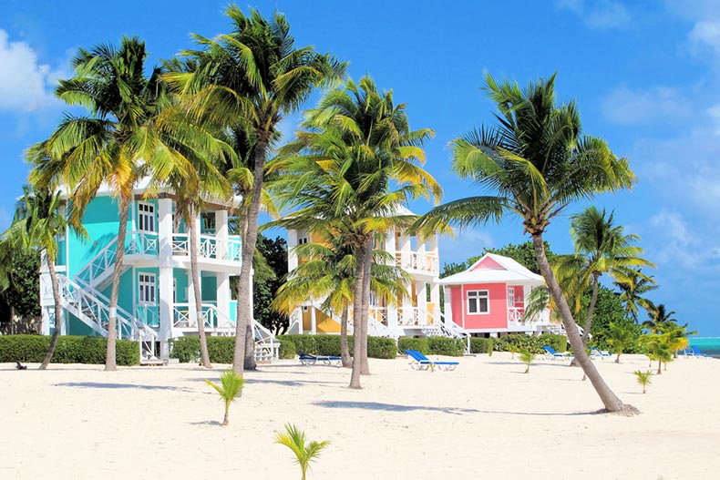 Palm trees beside colorful beach houses along the shore