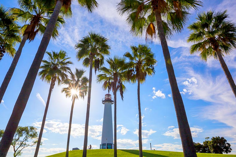 Palm trees in front of a lighthouse in Long Beach, California