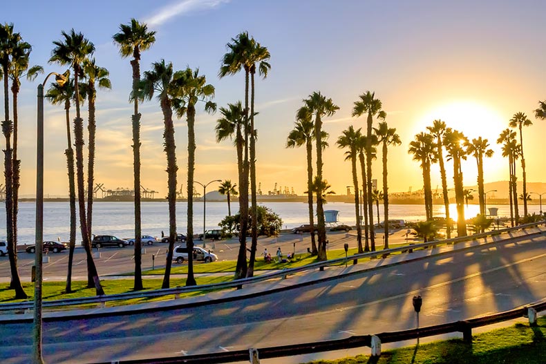 A coastal road at sunset in Long Beach, California