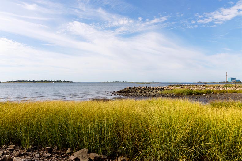 Beach along the Long Island Sound with green beach grass at low tide