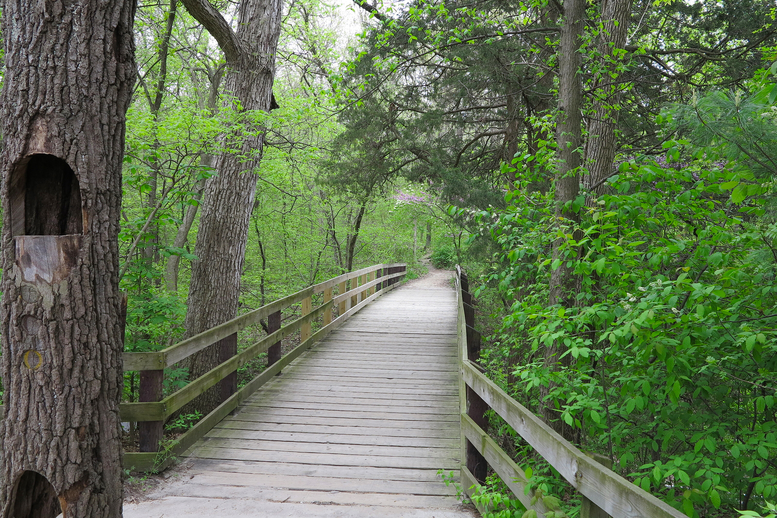 Starved Rock State Park near Chicago, IL offers a beautiful and serene hike that anyone would enjoy.
