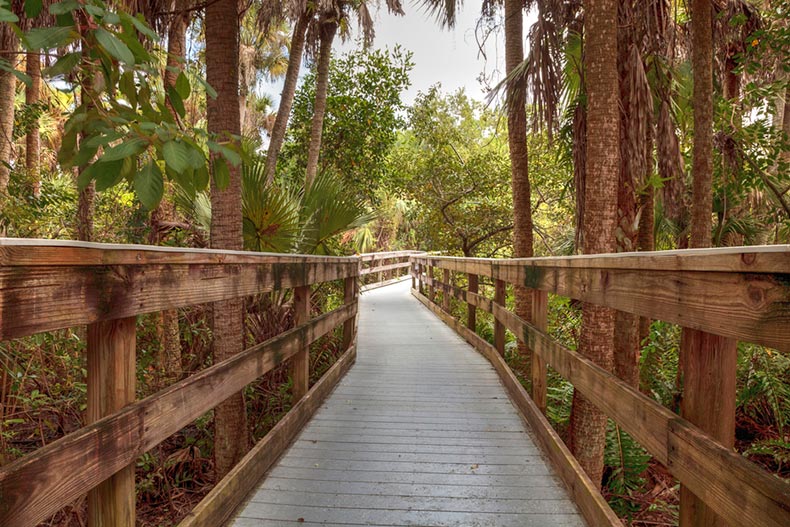 A boardwalk extending through Manatee Park in Fort Myers, Florida
