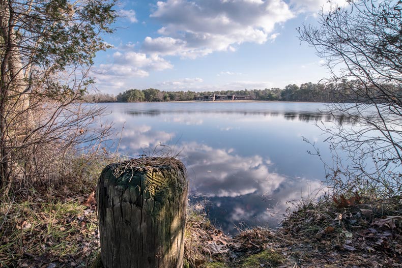 Trees surrounding a calm lake at Wharton State Forest in New Jersey