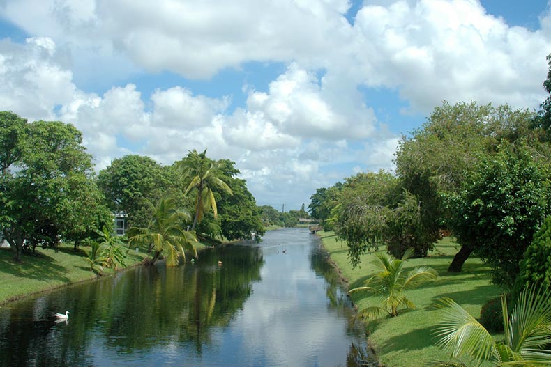 Greenery surrounding a canal in Margate, Florida