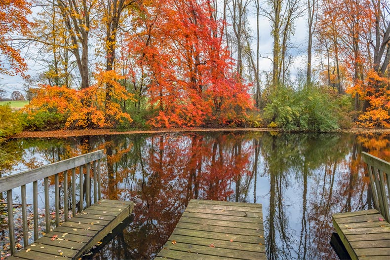 Autumn trees surrounding a pond with docks in Big Brook Park in Marlboro, New Jersey