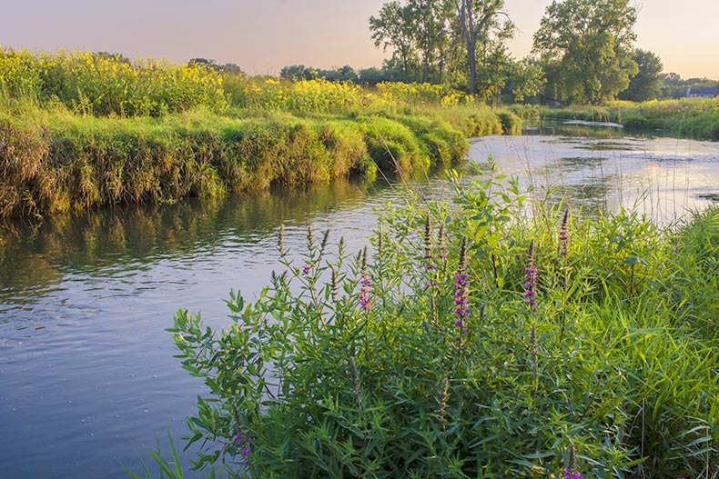 Photo of a creek in McHenry Country, Illinois