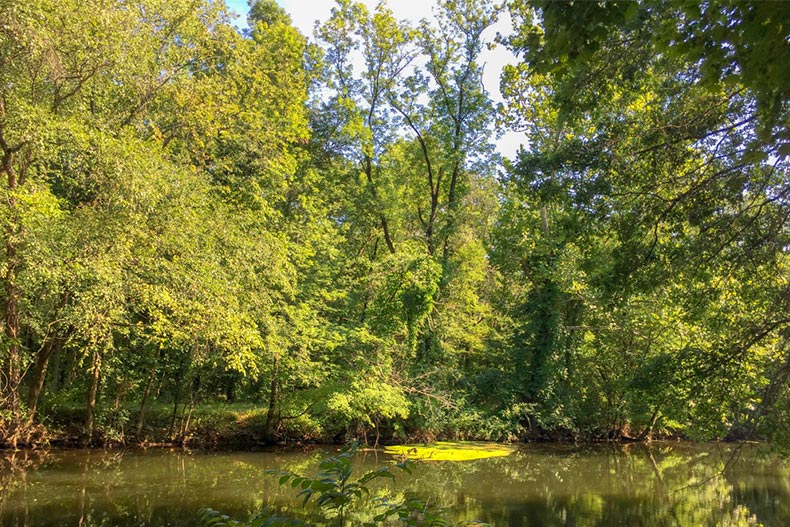 Green trees surrounding the Millstone River in the far northeastern corner of Princeton in Mercer County, New Jersey