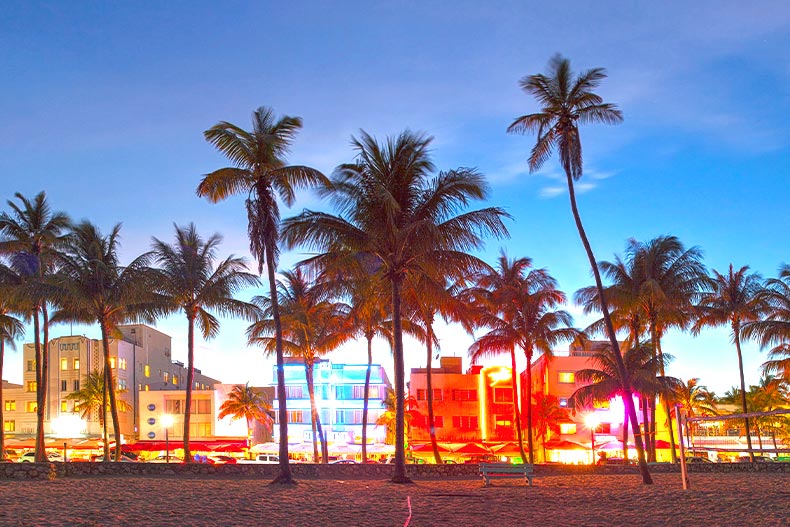 Palm trees at sunset on a beach in front of Ocean Drive in Miami Beach, Florida