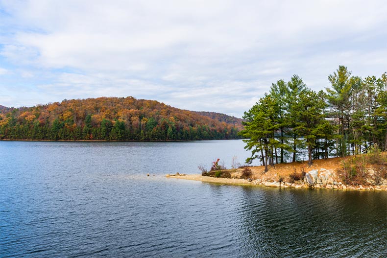 Forests of pine trees beside a lake at Michaux State Forest in Pennsylvania