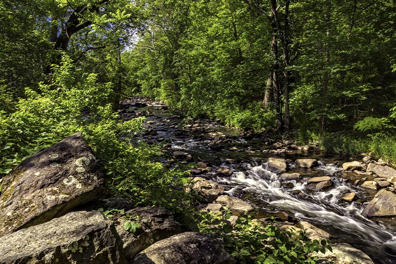 A creek running down rocks in a wooded are in Montgomery County, Pennsylvania