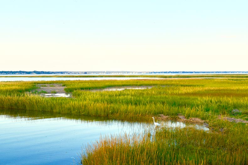 A small cove off of Moriches Bay protected by the salt marsh in Westhampton Beach in Long island, New York