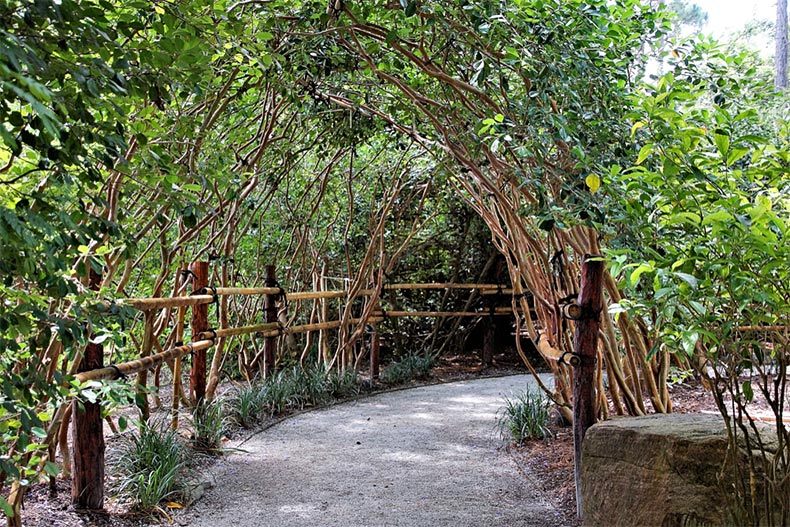 Lush foliage along a walkway at the Morikami Botanical Garden in Delray Beach, Florida