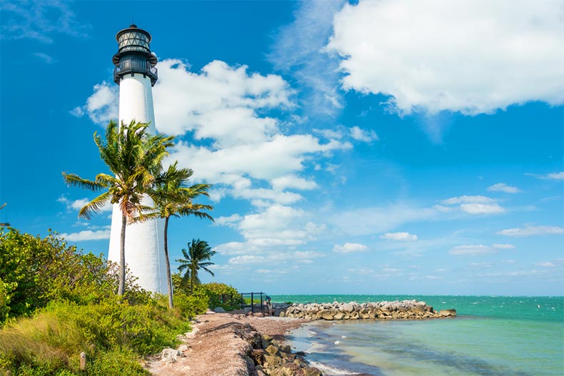 Palm trees beside a lighthouse in Cape Florida at the south end of Key Biscayne, Miami