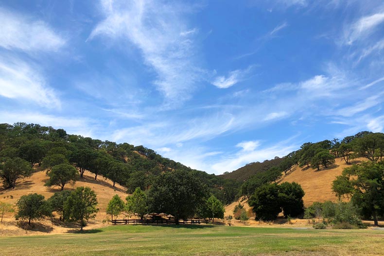 Trees and hills in Mount Diablo State Park in Walnut Creek, California