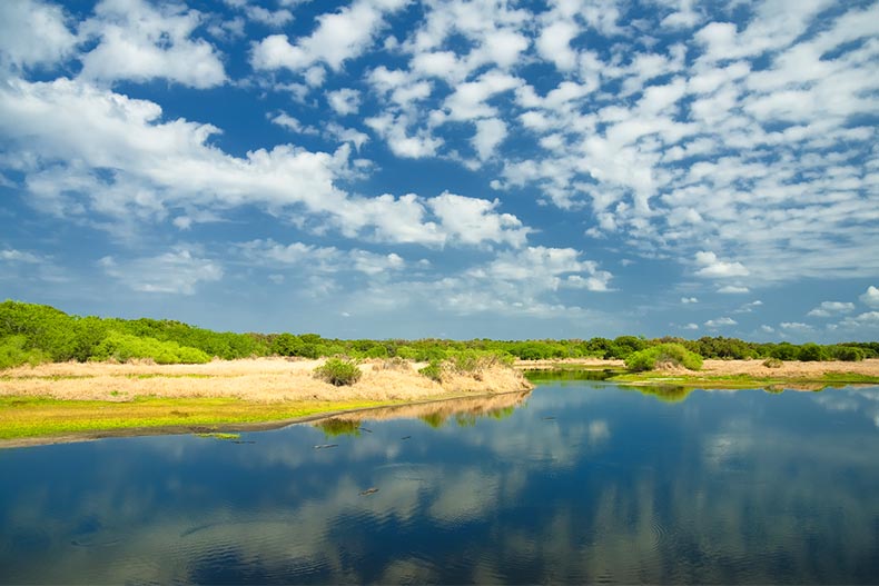 View of the Myakka River at Myakka State Park in Florida