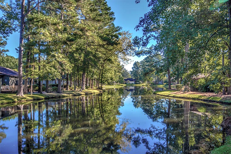 Trees lining the picturesque ponds at Myrtle Trace in Conway, South Carolina