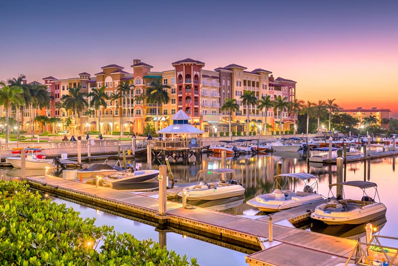 Boats and palm trees along a dock in Naples, Florida at dawn.