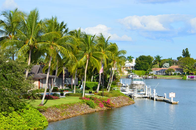 Palm trees beside a dock in Naples Bay in Naples, Florida