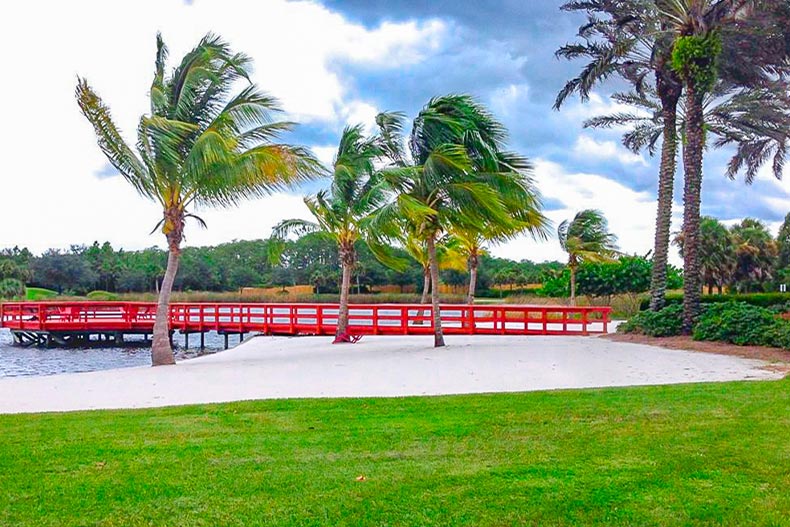 Palm trees blowing in the wind beside a dock on a pond in Pelican Preserve in Fort Myers, Florida