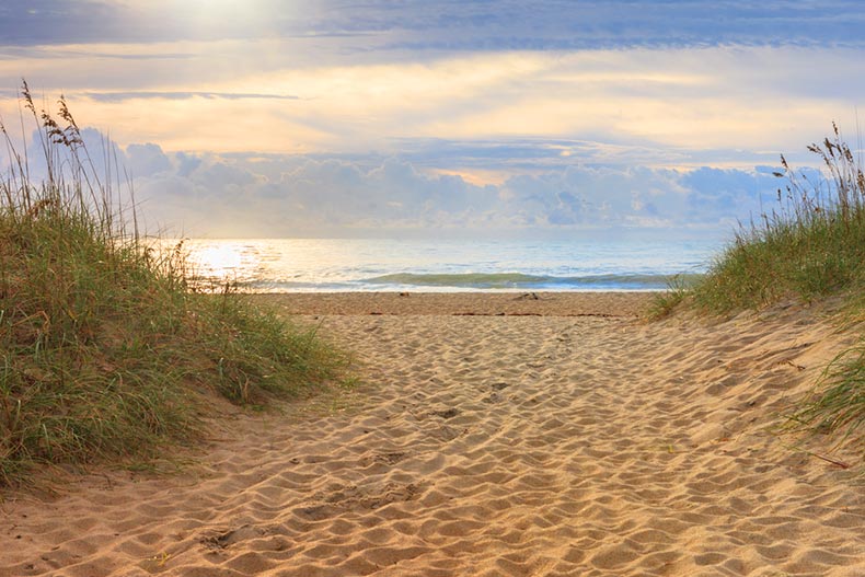 A beach with sand dunes on the Cape Hatteras National Seashore in North Carolina