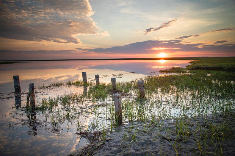 A sunrise across the wetlands near Great Bay Avenue in Tuckerton, New Jersey