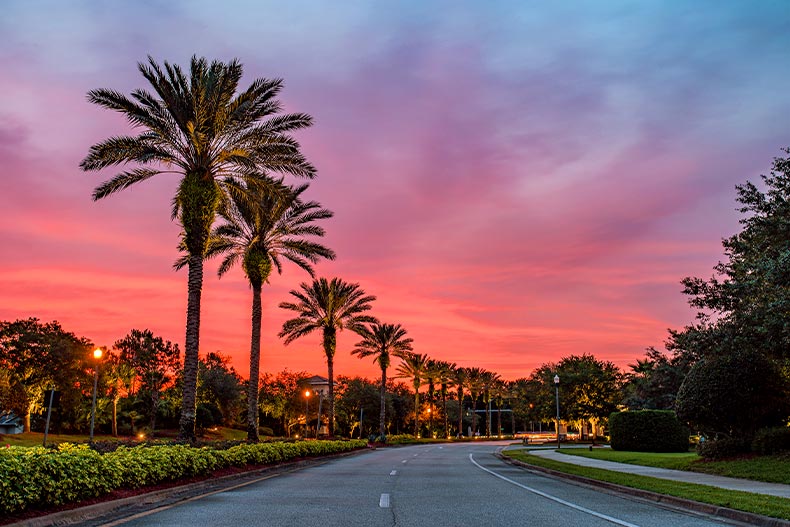 A palm-beach-lined street in New Smyrna Beach, Florida at sunset