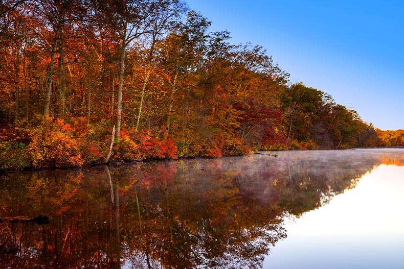 Autumn trees in Brunswick County, New Jersey on the edge of a misty Farrington Lake
