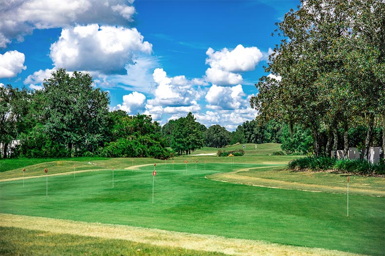 Flags along the golf course at Oak Run in Ocala, Florida