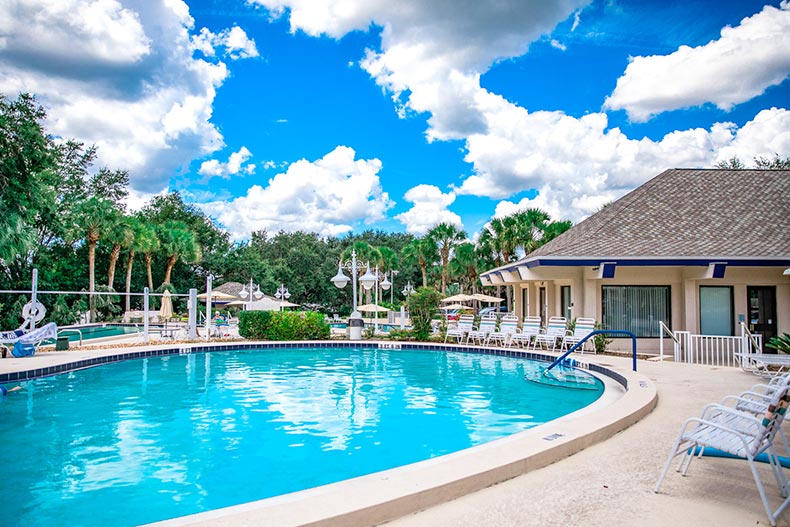 Lounge chairs surrounding the outdoor pool at Oak Run in Ocala, Florida