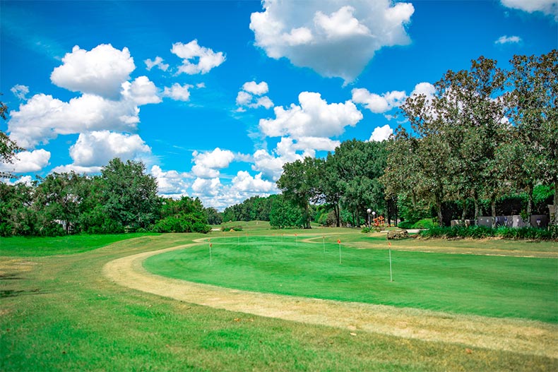 Trees lining the golf course at Oak Run in Ocala, Florida