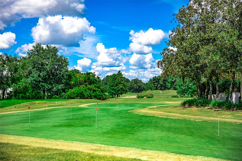 View of the golf course at Oak Run in Ocala, Florida