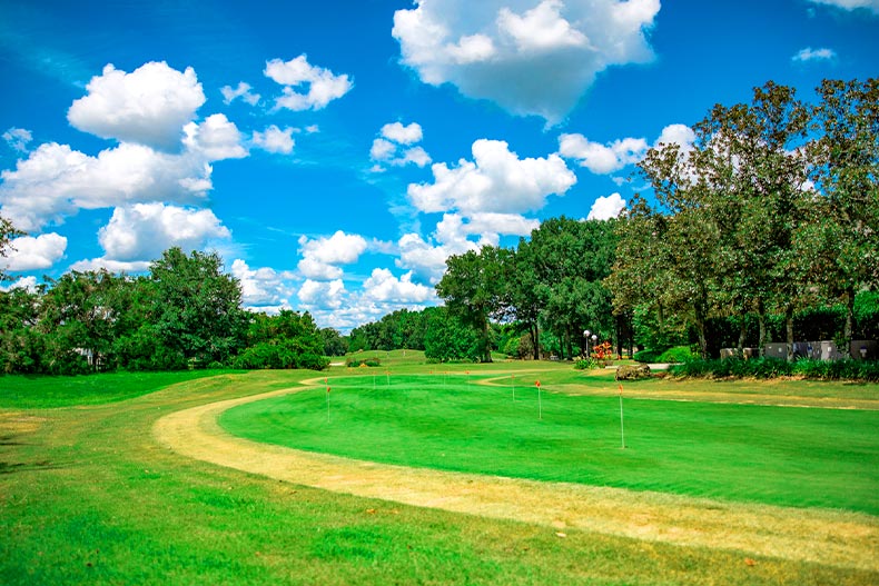 View down a golf course in Oak Run on a sunny day, located in Ocala, Florida