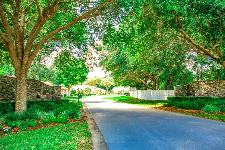 View down a paved road leading through a gate to a neighborhood, located in Oak Run, Ocala, Florida