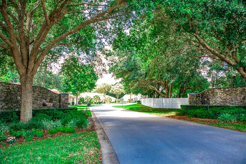 A residential street lined with trees in Oak Run in Ocala, Florida