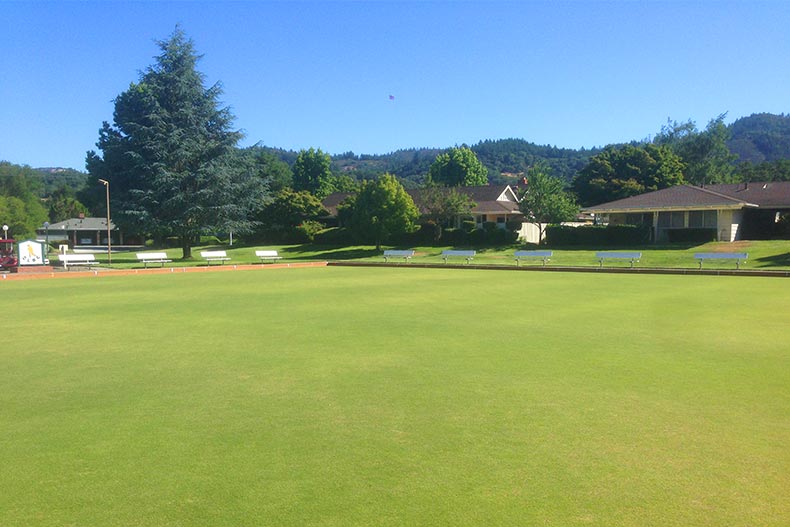 Trees surrounding open greenspace at Oakmont Village in Santa Rosa, California