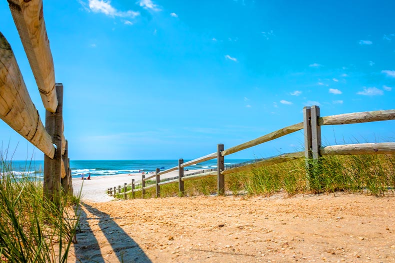 Photo of the path leading to an Atlantic Coast beach in Ocean County, New Jersey