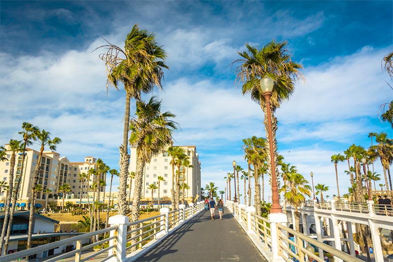 Palm trees along the pier in Oceanside, California