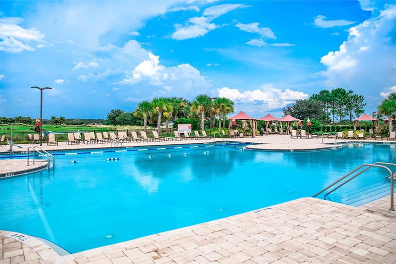 Palm trees and lounge chairs surrounding an outdoor pool at On Top of the World in Ocala, Florida