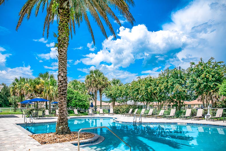 Palm trees surrounding an outdoor pool at On Top Of The World in Ocala, Florida