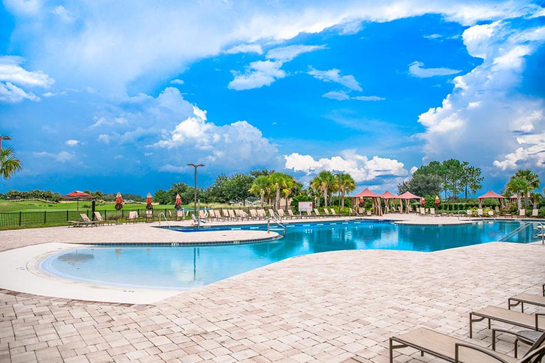 Lounge chairs and palm trees surrounding the outdoor pool at On Top of the World in Ocala, Florida