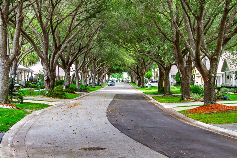 A tree-lined residential street in On Top of the World in Ocala, Florida