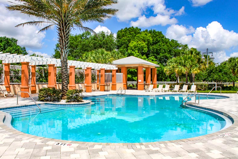 Palm trees and lounge chairs beside an outdoor pool at On Top of the World in Ocala, Florida