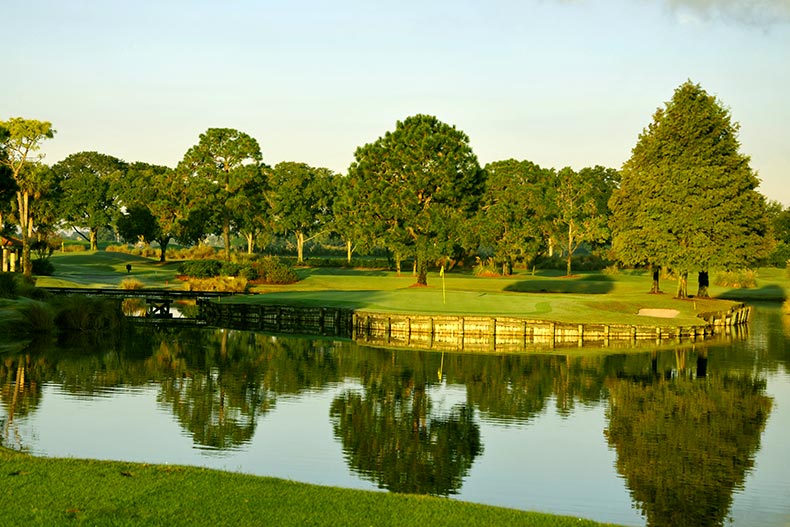 View of trees dotting a golf course green on an island in Orlando, Florida