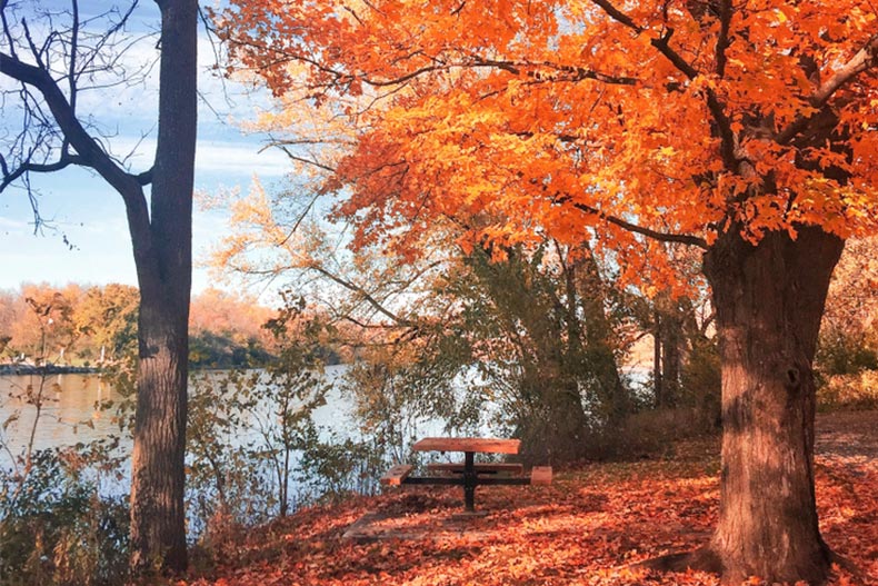 A picnic table beside the Fox River in Oswego, Illinois during the fall