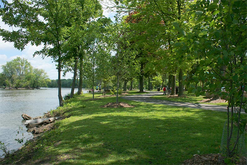 Trees along the bank of a river in Oswego, Illinois