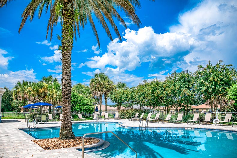 Photo of a pool at On Top of The World next to palm trees in Ocala, Florida