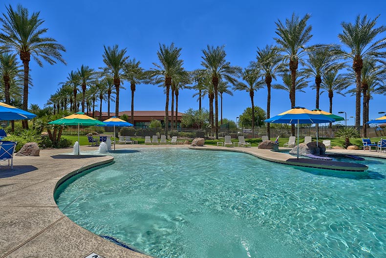 Palm trees surrounding the outdoor pool at Sun City Grand in Surprise, Arizona