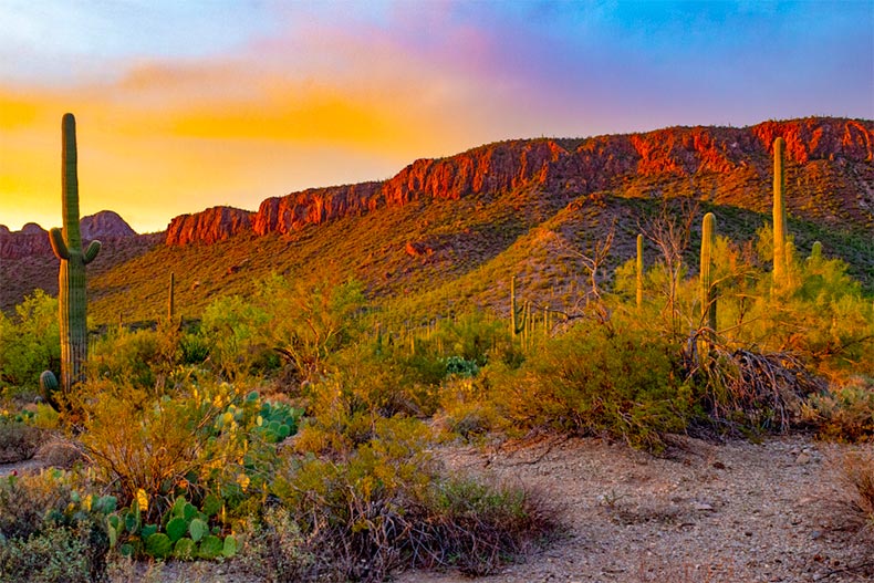 5 Reasons Why You Should Retire in Tucson, AZ | 55places