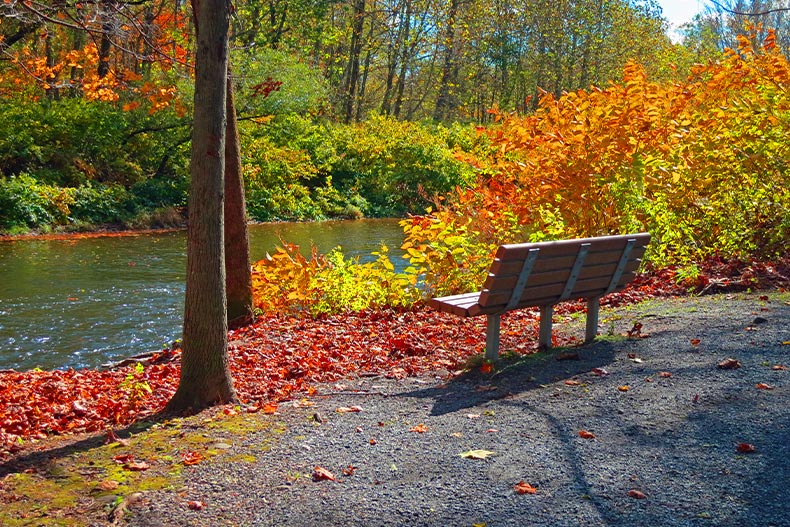 Photo of a park bench next to a river during autumn in Pennsylvania