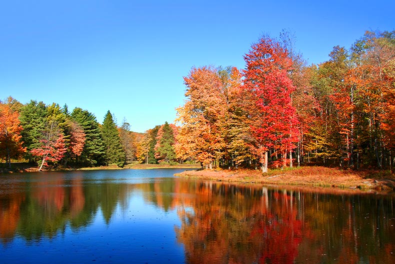 Photo of autumn trees along a lake in Pennsylvania